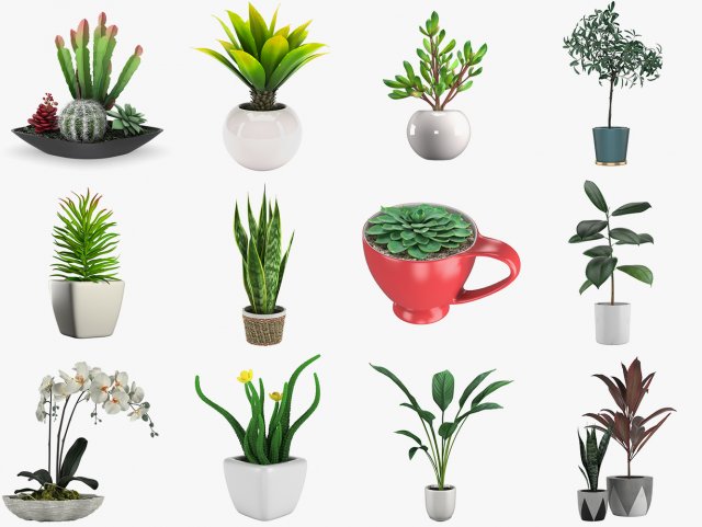12 pot plant s 3D Model .c4d .max .obj .3ds .fbx .stl .blend 
