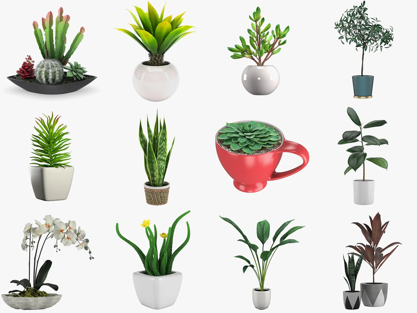12 pot plant s 3D Model .c4d .max .obj .3ds .fbx .stl .blend 