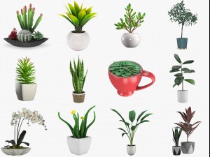 12 pot plant s 3D Model