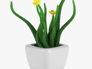 12 pot plant s 3D Model