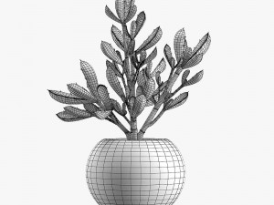 12 pot plant s 3D Model