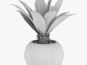 12 pot plant s 3D Model