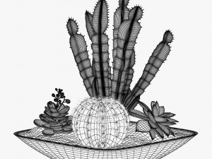 12 pot plant s 3D Model