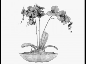 12 pot plant s 3D Model