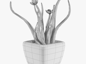 12 pot plant s 3D Model