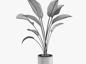 12 pot plant s 3D Model