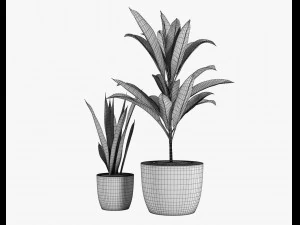 12 pot plant s 3D Model