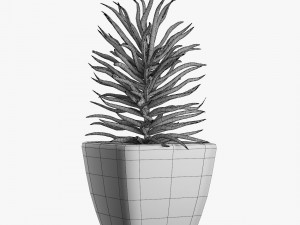 12 pot plant s 3D Model