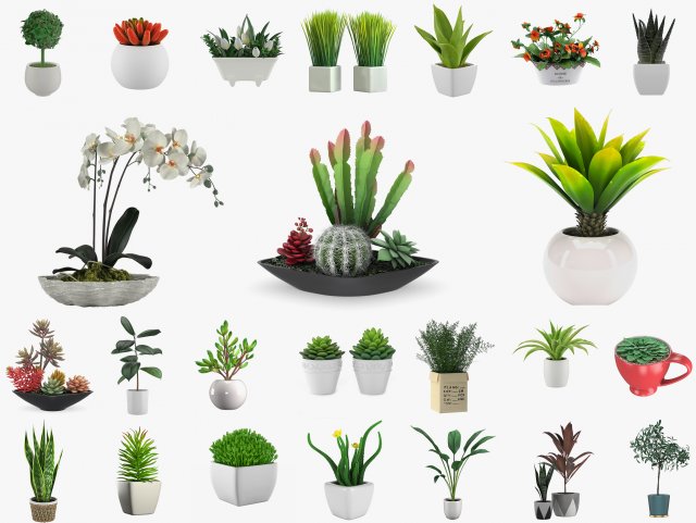 24 pot plant s 3Dモデル .c4d .max .obj .3ds .fbx .stl .blend 