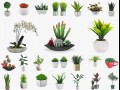 24 pot plant s 3D मॉडल
