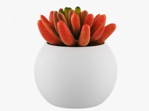 24 pot plant s 3D Model