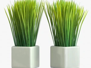 24 pot plant s 3D Model