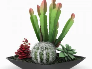 24 pot plant s 3D Model