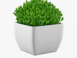 24 pot plant s 3D Model
