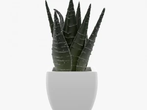 24 pot plant s 3D Model