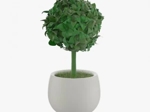 24 pot plant s 3D Model