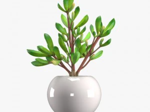 24 pot plant s 3D Model