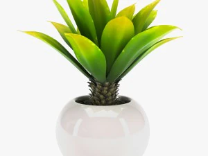 24 pot plant s 3D Model