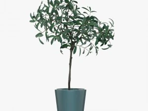 24 pot plant s 3D Model