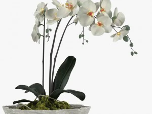 24 pot plant s 3D Model