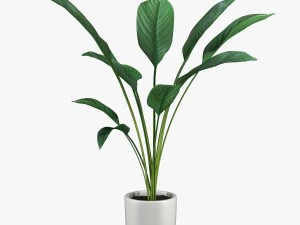 24 pot plant s 3D Model