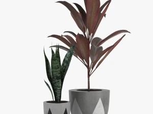 24 pot plant s 3D Model