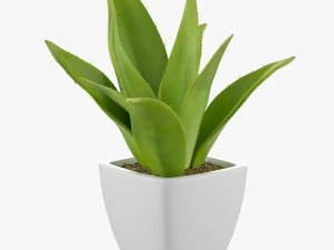 24 pot plant s 3D Model