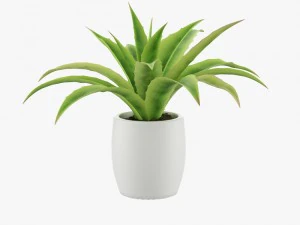 24 pot plant s 3D Model