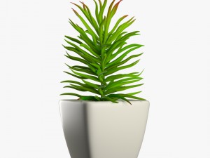 24 pot plant s 3Dモデル