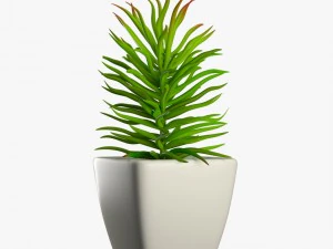 24 pot plant s 3D Model