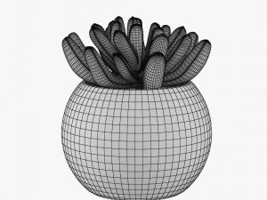 24 pot plant s 3D Model