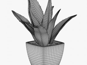 24 pot plant s 3D Model