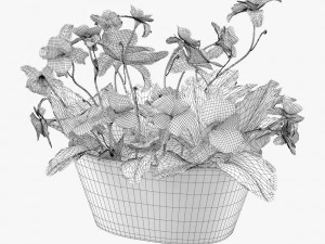 24 pot plant s 3D Model