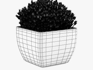 24 pot plant s 3D Model
