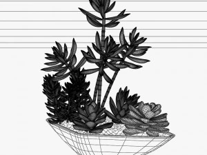 24 pot plant s 3D Model