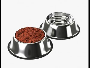 stainless steel dog bowl with food 3D Model