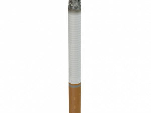 3d cigarette used 3D Model