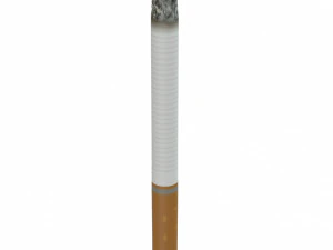 3d cigarette used 3D Model