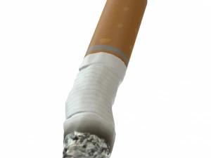 cigarette small 3D Model