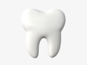 tooth cartoon 3D Model