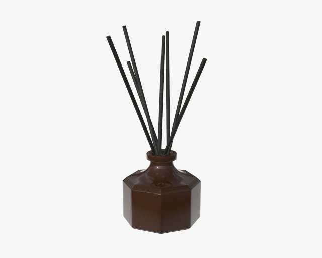 air refresher bottle with sticks 02 3D Model .c4d .max .obj .3ds .fbx .stl .blend 