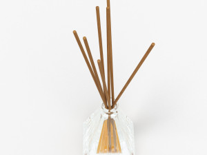 air refresher bottle with sticks 07 3D-Modell