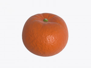 mandarin whole 3Dモデル