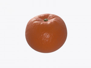 mandarin whole Modelo 3D