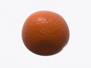 mandarin whole Modelo 3D