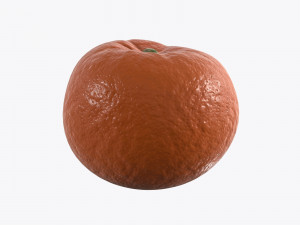 mandarin whole Modelo 3D