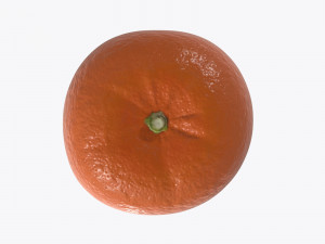 mandarin whole Modelo 3D