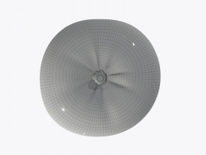 mandarin whole Modelo 3D