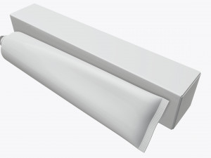 toothpaste with box 01 3D Model