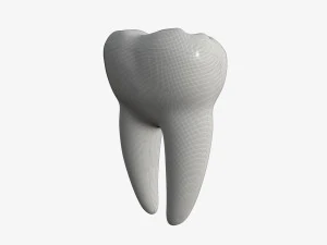 tooth molars 3D Model